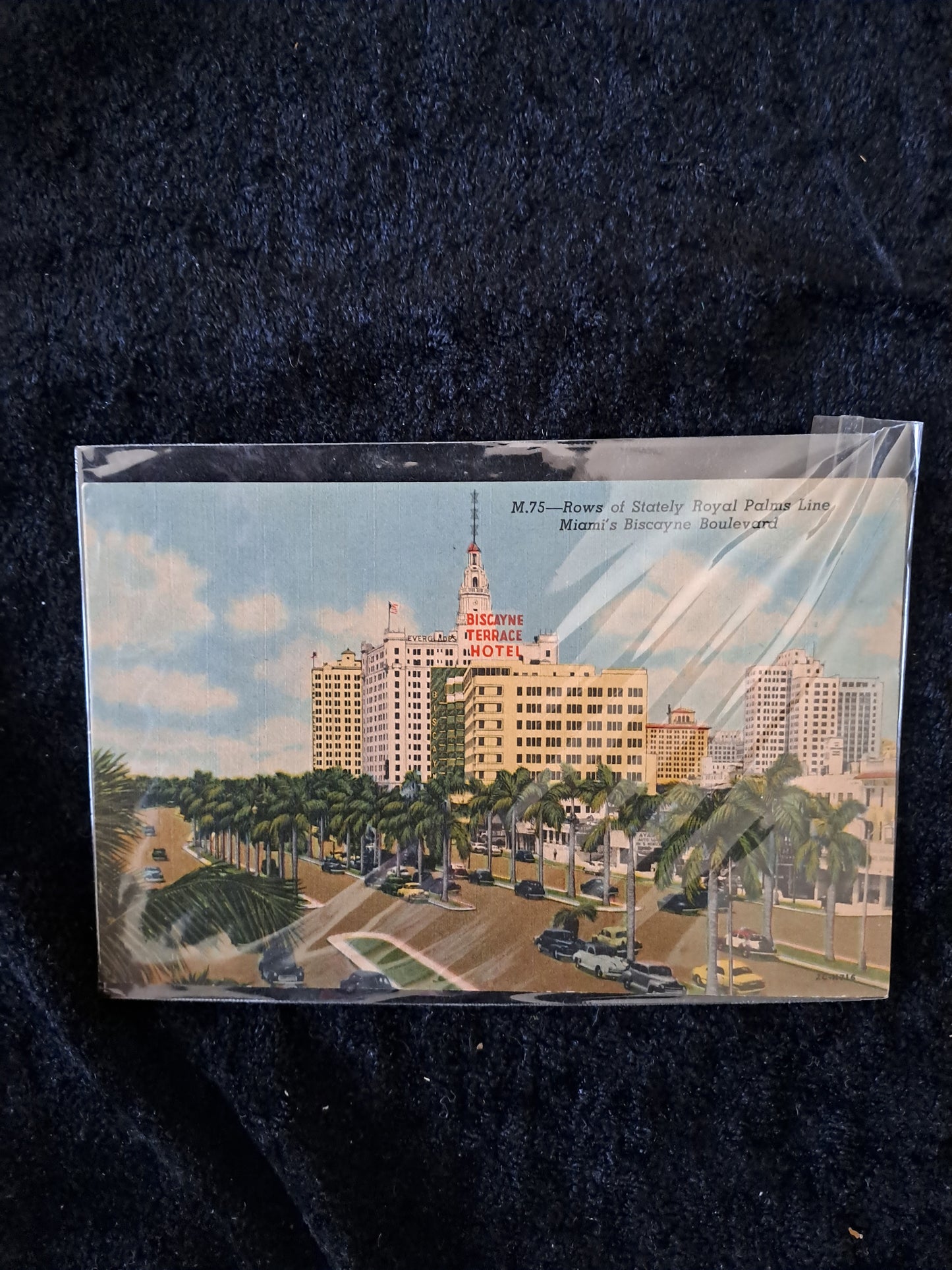 Amerikanske Vintage Postkort