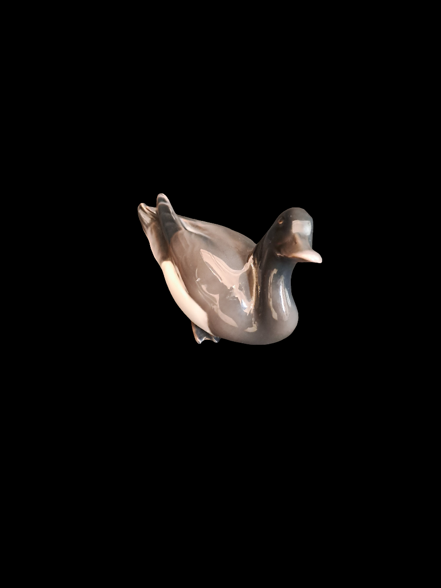 Troll duck