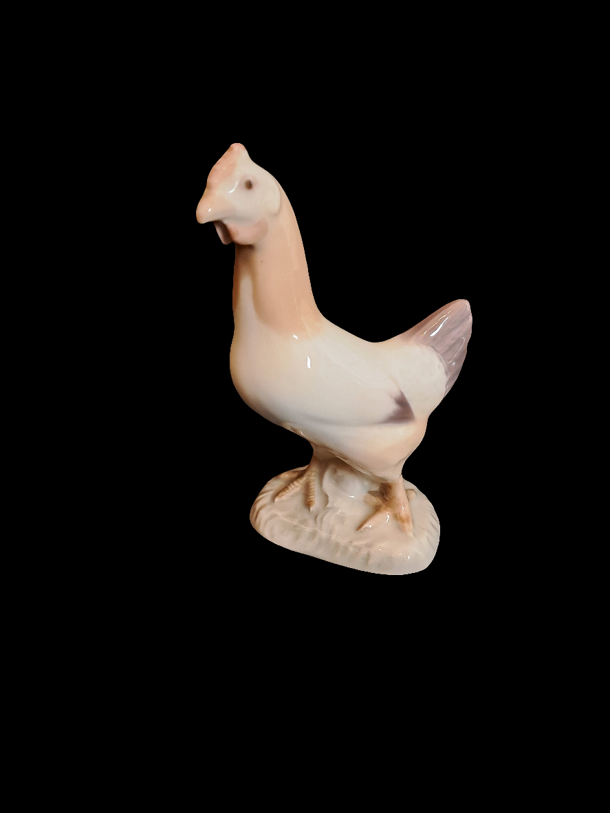 Hen B&G