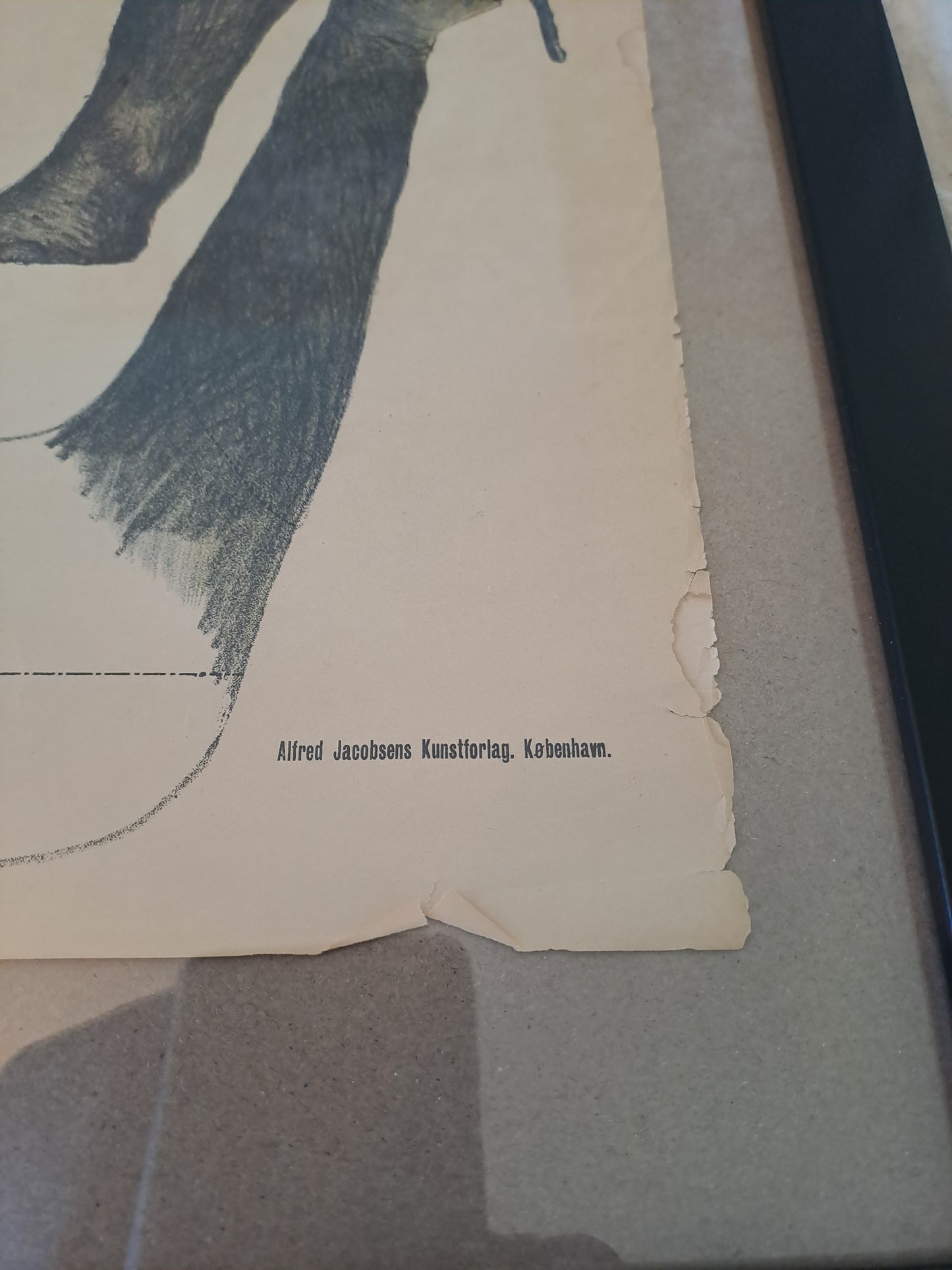Old Visual Picture of Elephant/Gl. Anskuelsesbillede af Elefant
