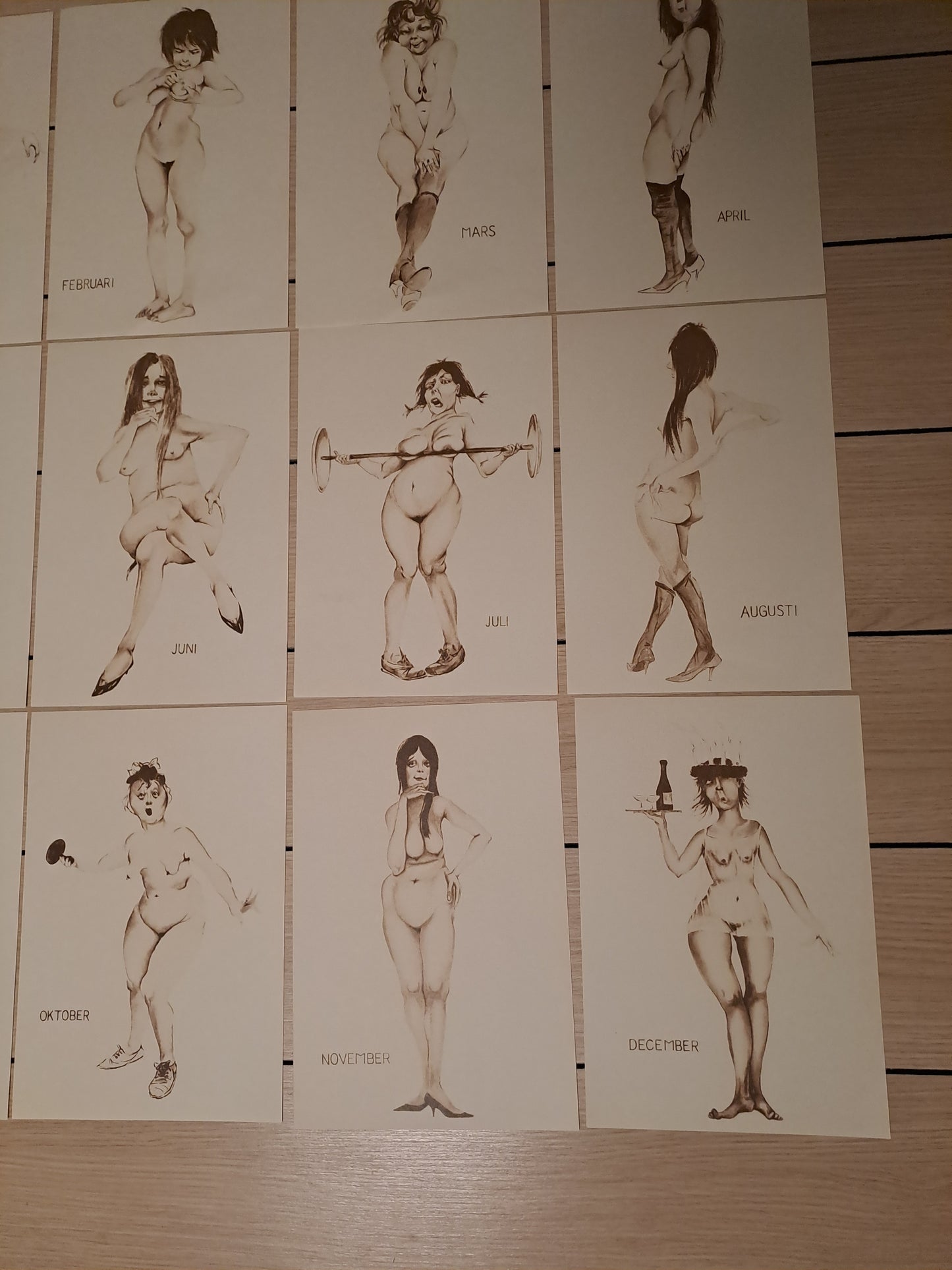 12 Month Caricatures / 12 Måneder Karikaturer