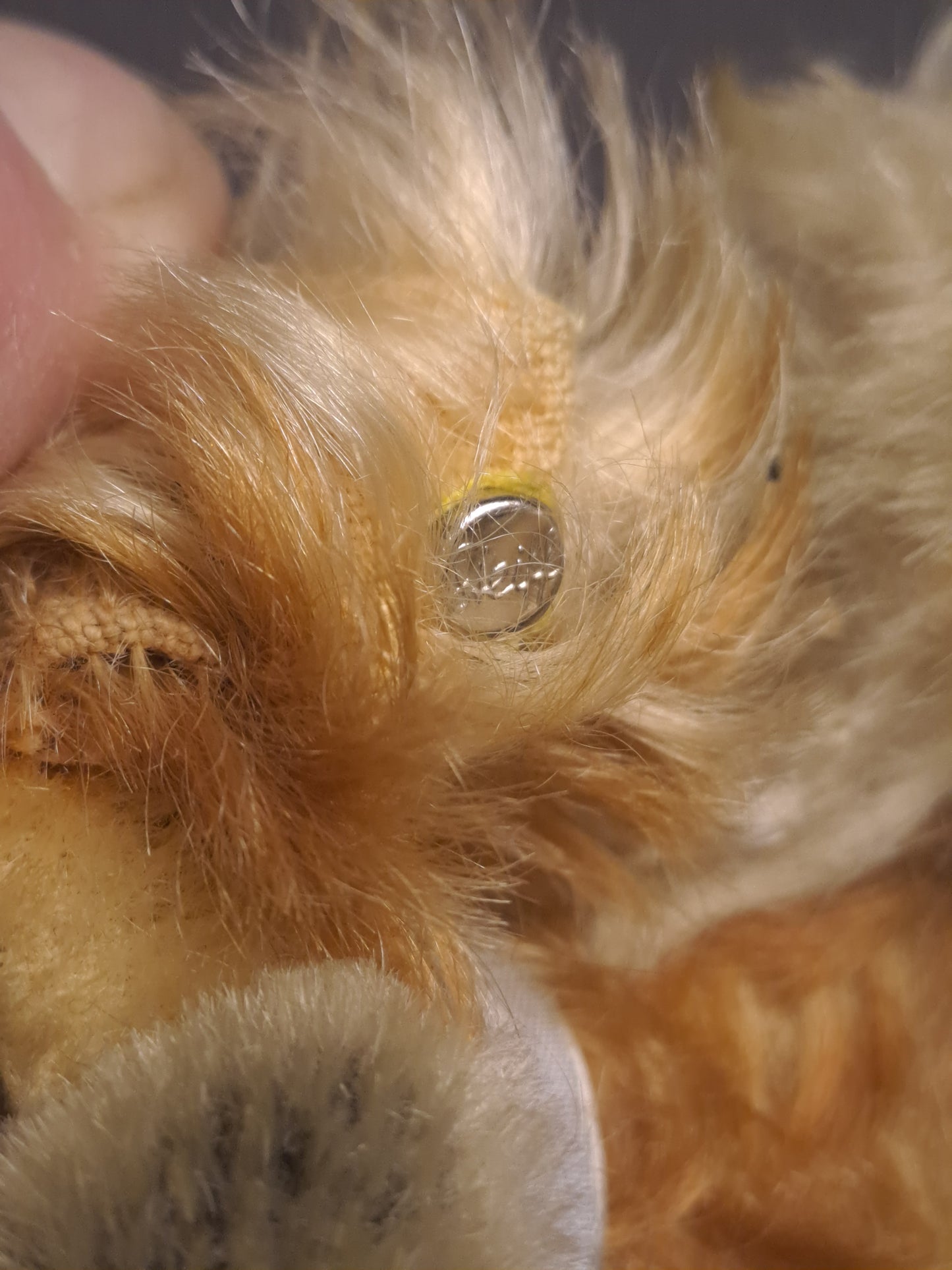 Steiff Pekingese Dog