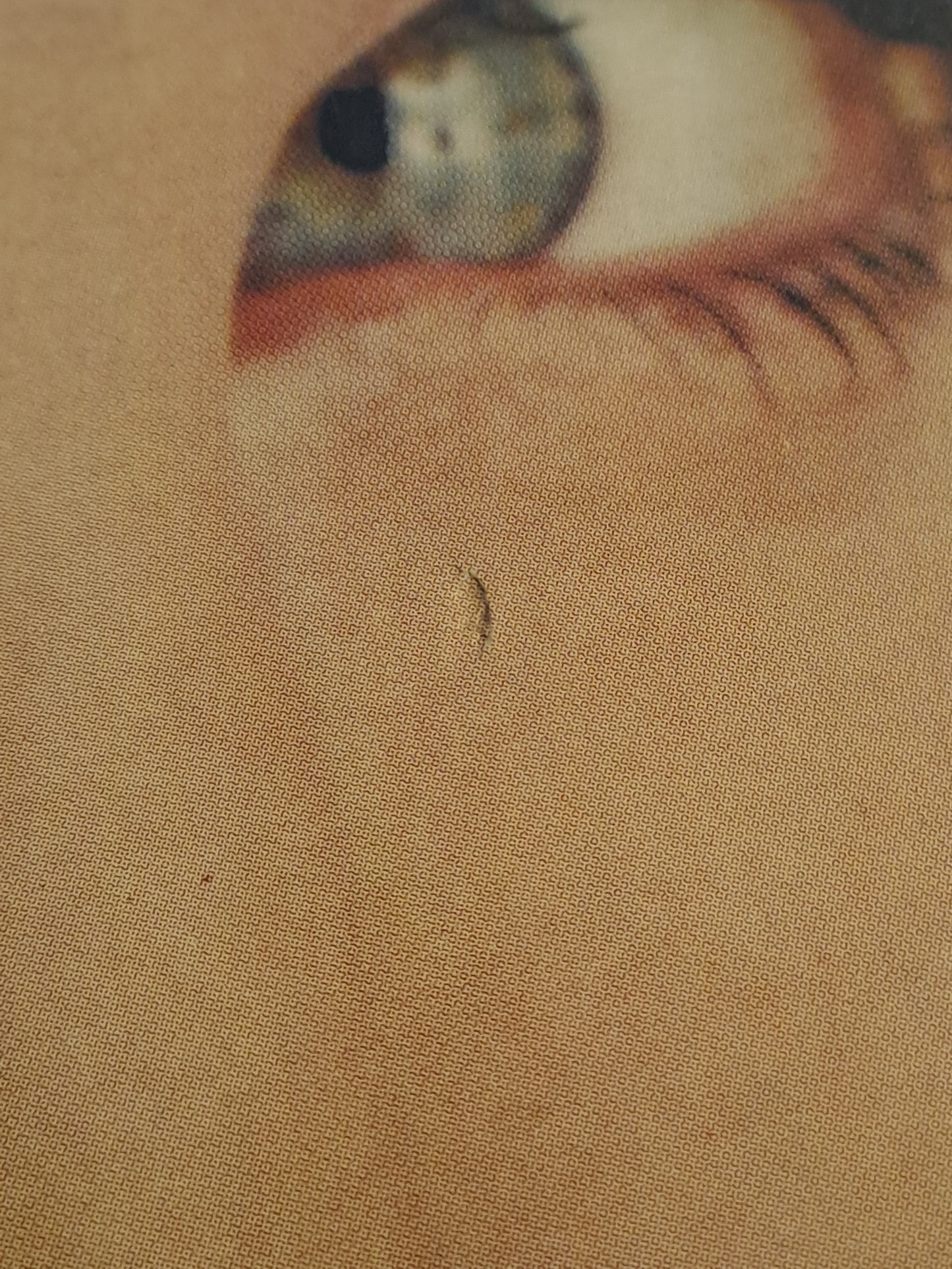 Reklame-plakat Prince/Tobacco Advertising Poster
