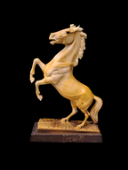 Rearing Stallion