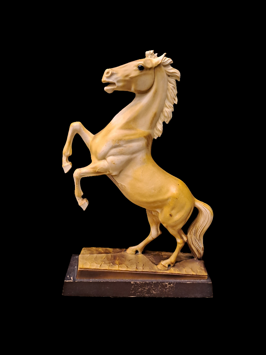 Rearing Stallion