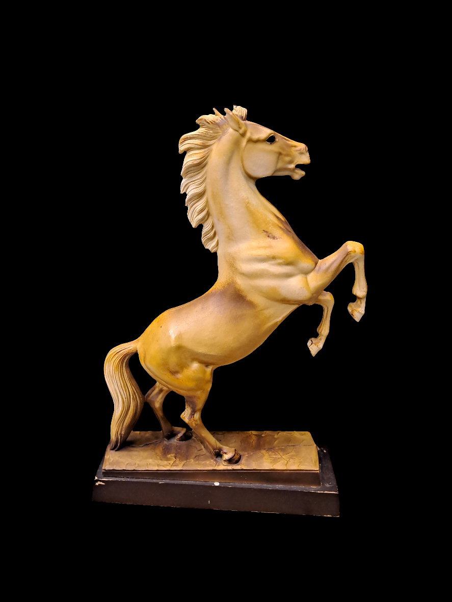 Rearing Stallion