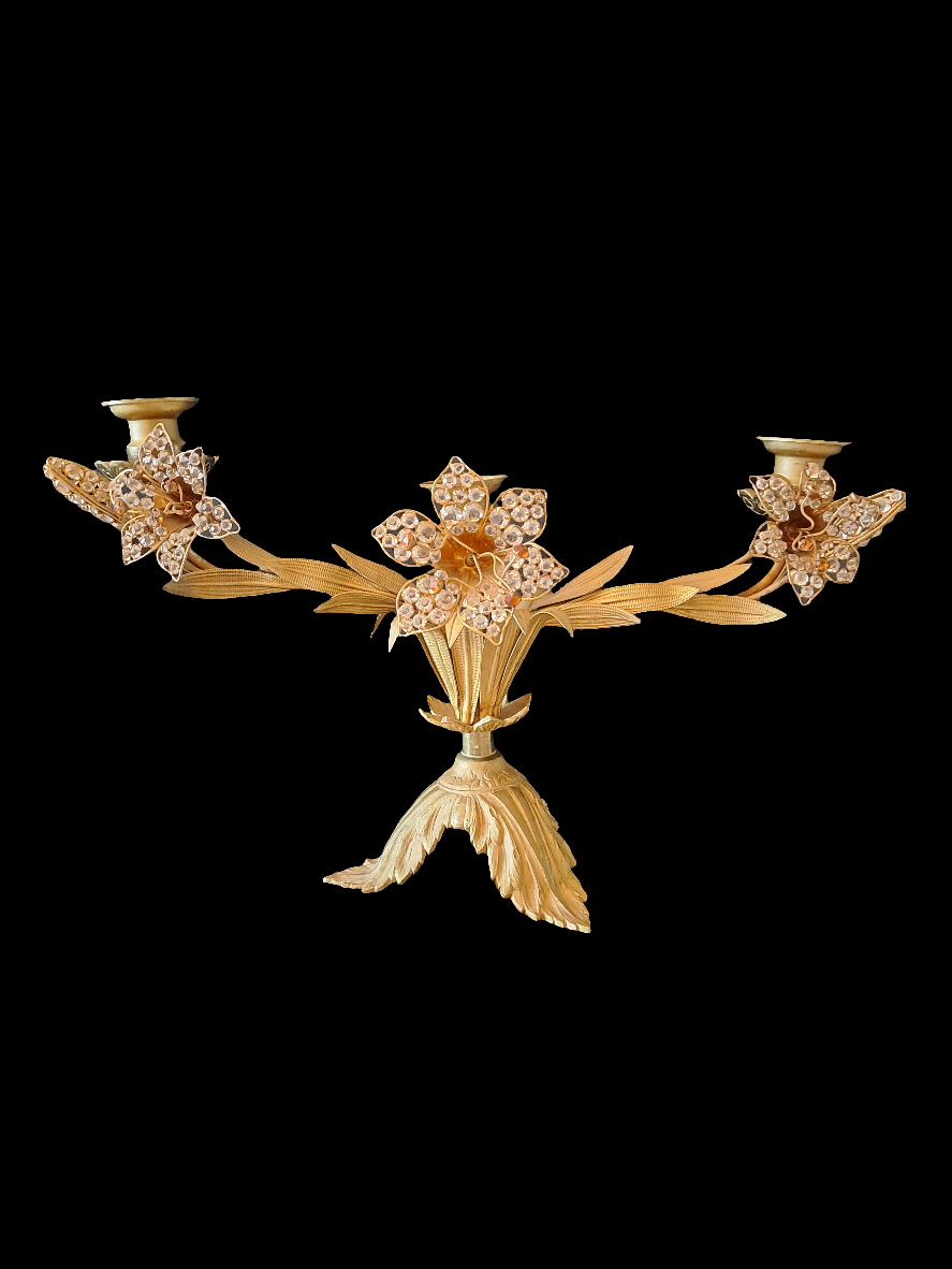 A pair of Candelabre "Bouasse Jeune Paris"