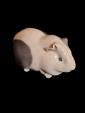 Guinea pig Royal Copenhagen