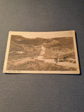 The Jutland Heath 1911