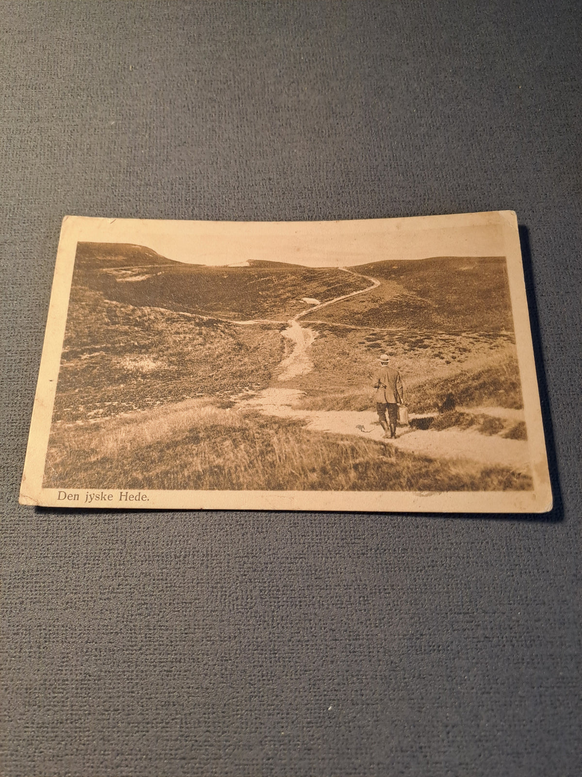The Jutland Heath 1911