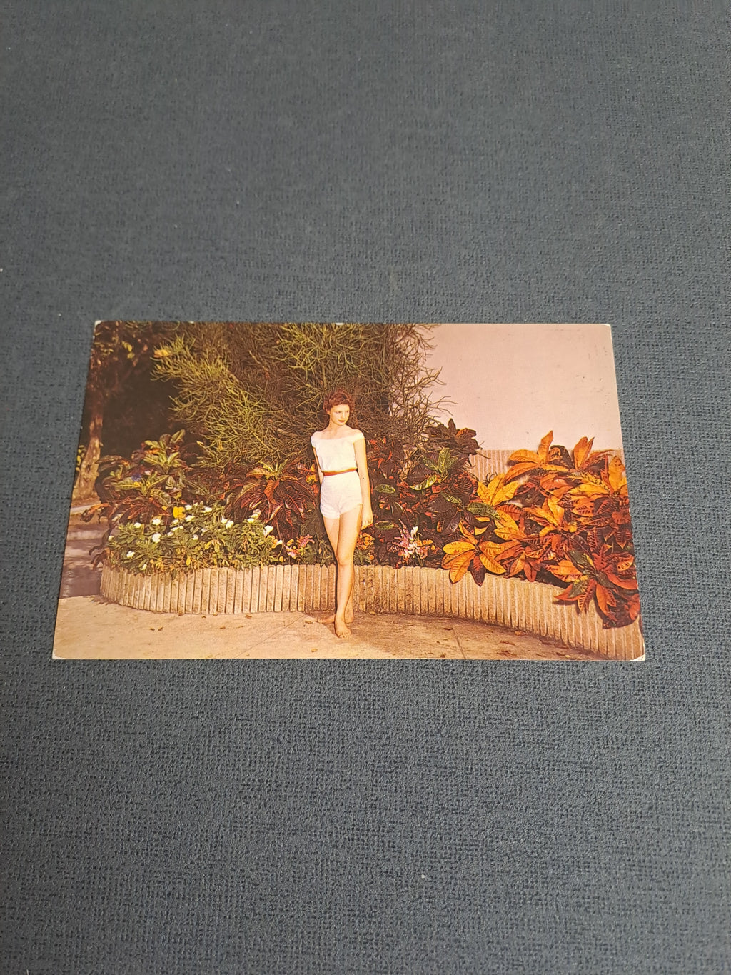 Vintage Postcard