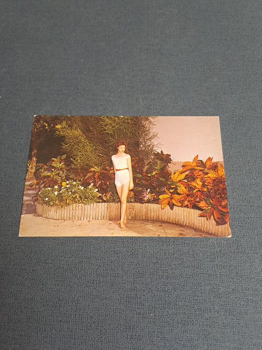 Vintage Postcard / Vintage Postkort