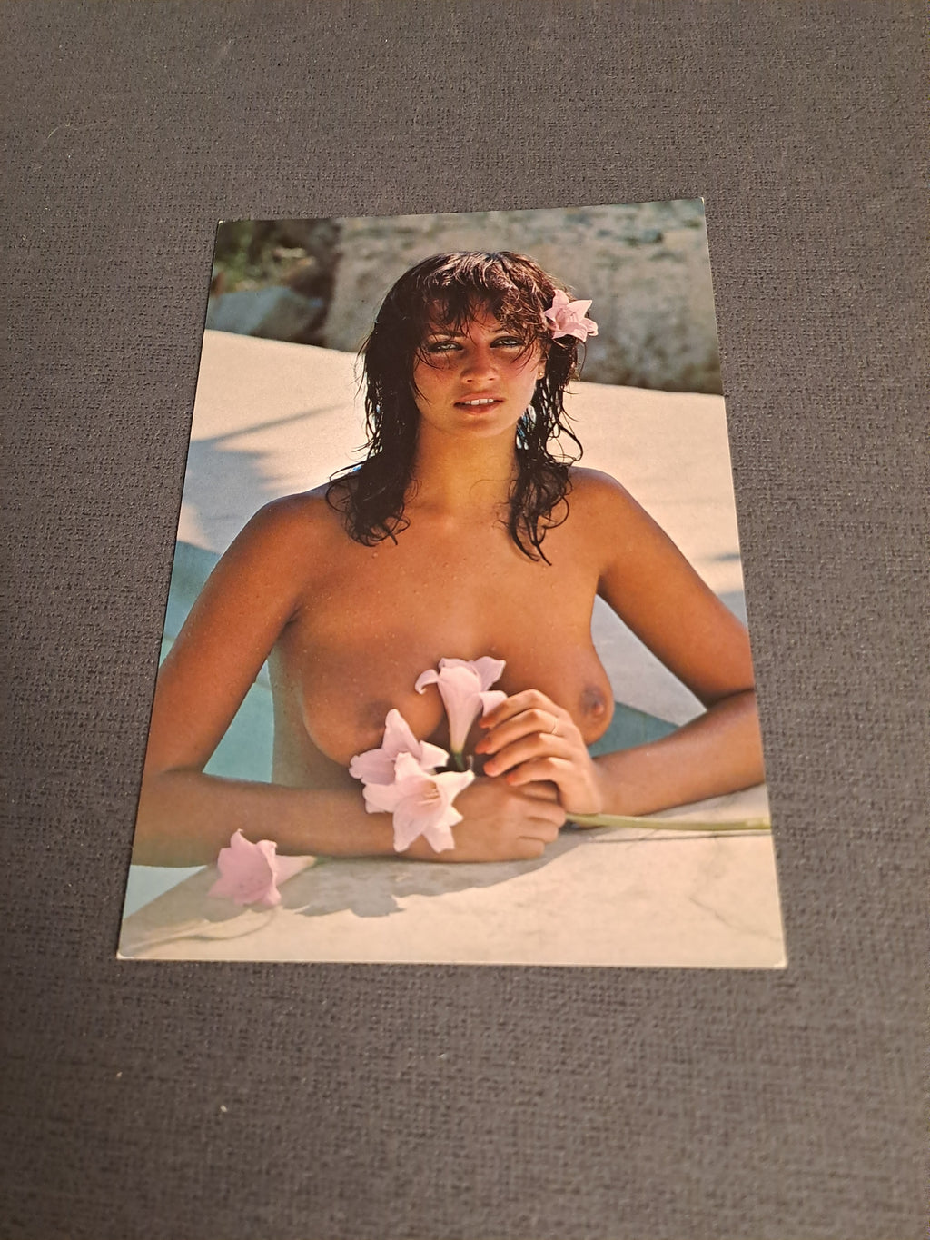 Vintage Postcard