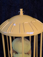 Tweety in a Bird Cage