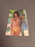 Vintage Postcard