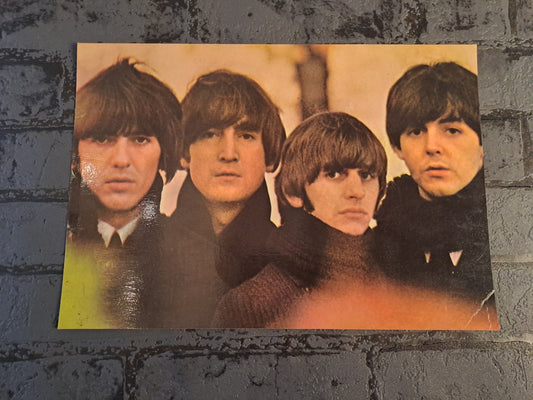 The Beatles Picture Inlay from LP