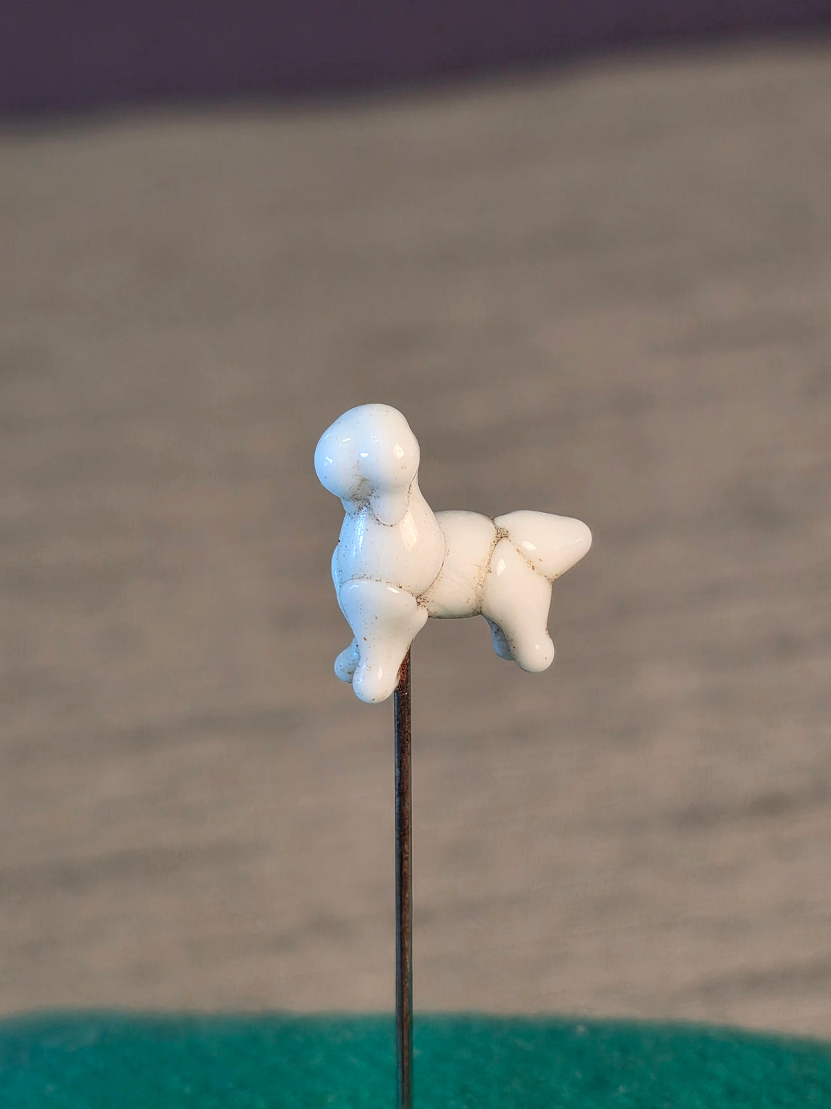 Nipsenål Hund
