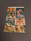 Vintage Postcard 1990's