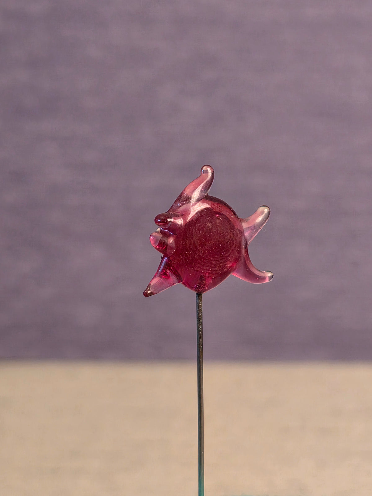 Needle Fish
