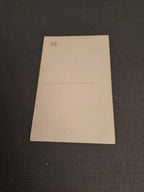 Tentation by P.A. Lucias Antique Postcard / Antique French Postcard