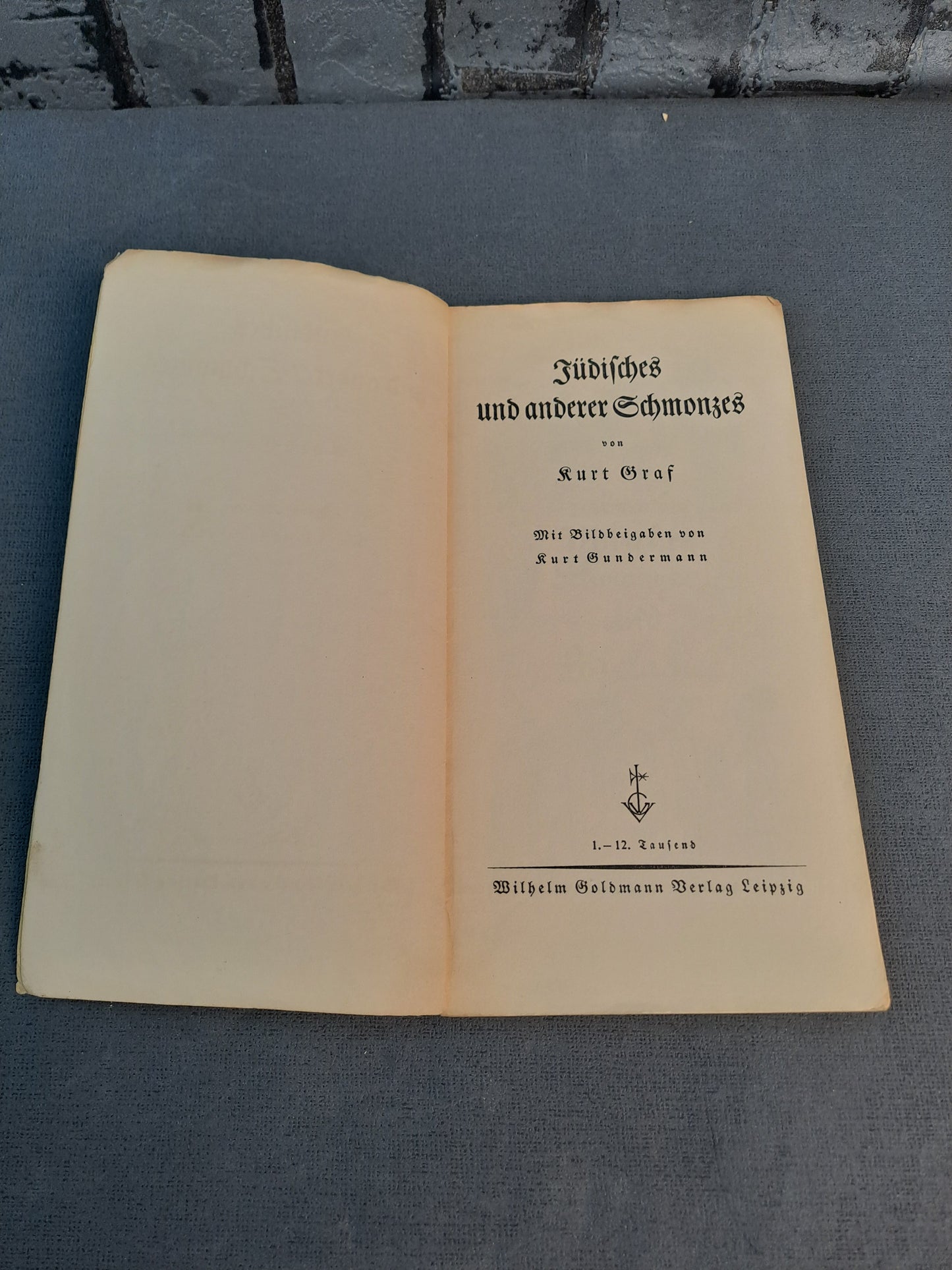 WW2 Anti Jewish Propaganda Book /WW2 Anti Jødisk Propaganda Bog
