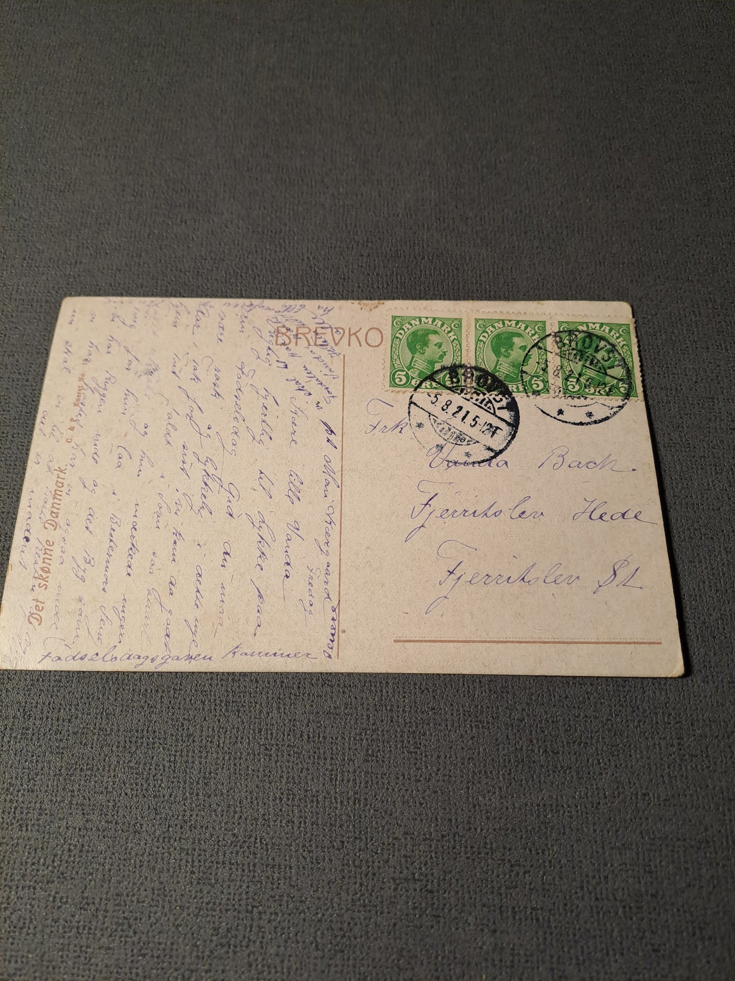 Svingelmosen ved Nakskov 1921