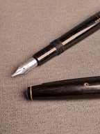 Penol Vintage Fountain Pen
