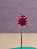 Needle Fish