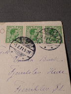 Svingelmosen ved Nakskov 1921