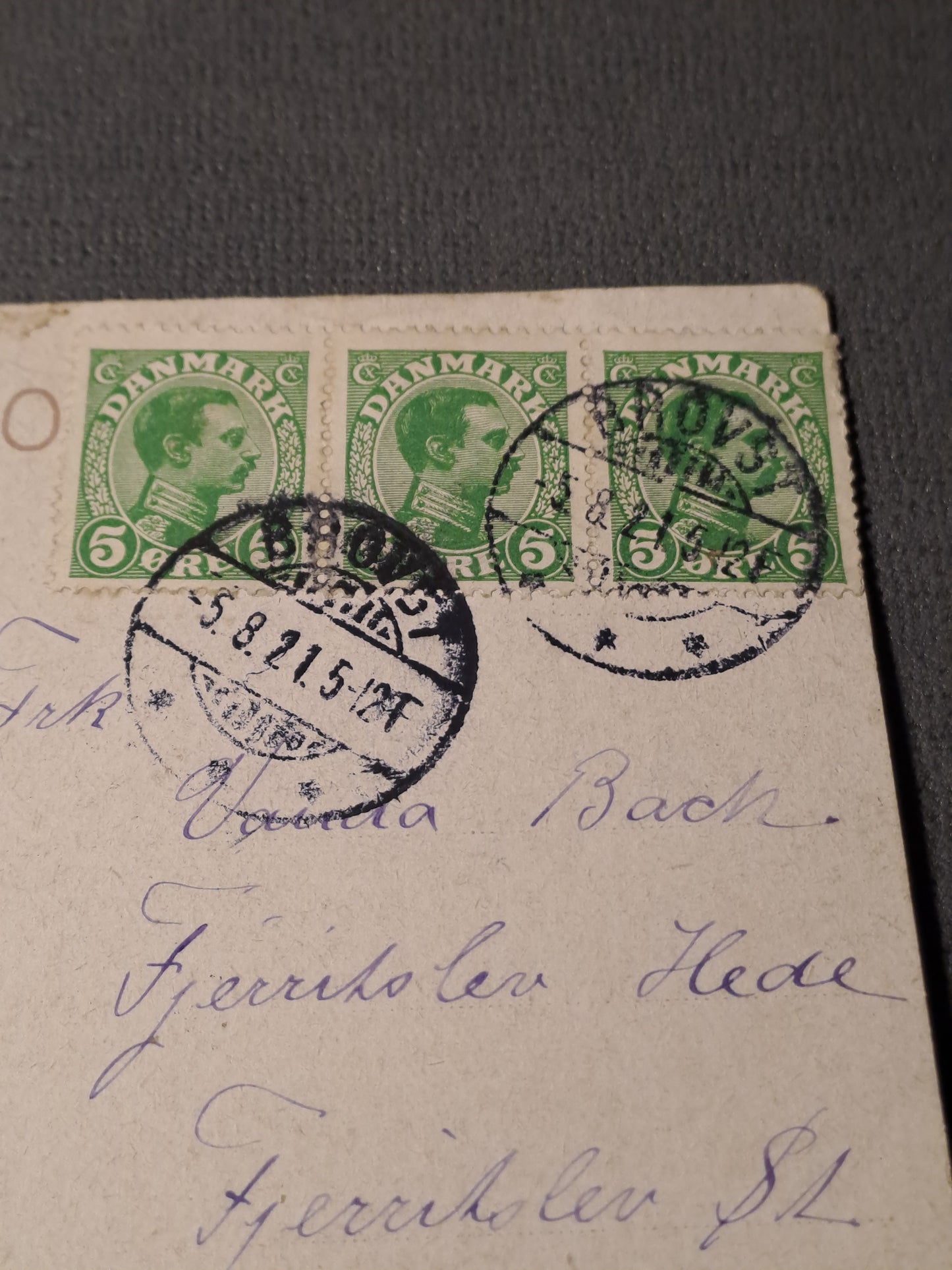 Svingelmosen ved Nakskov 1921