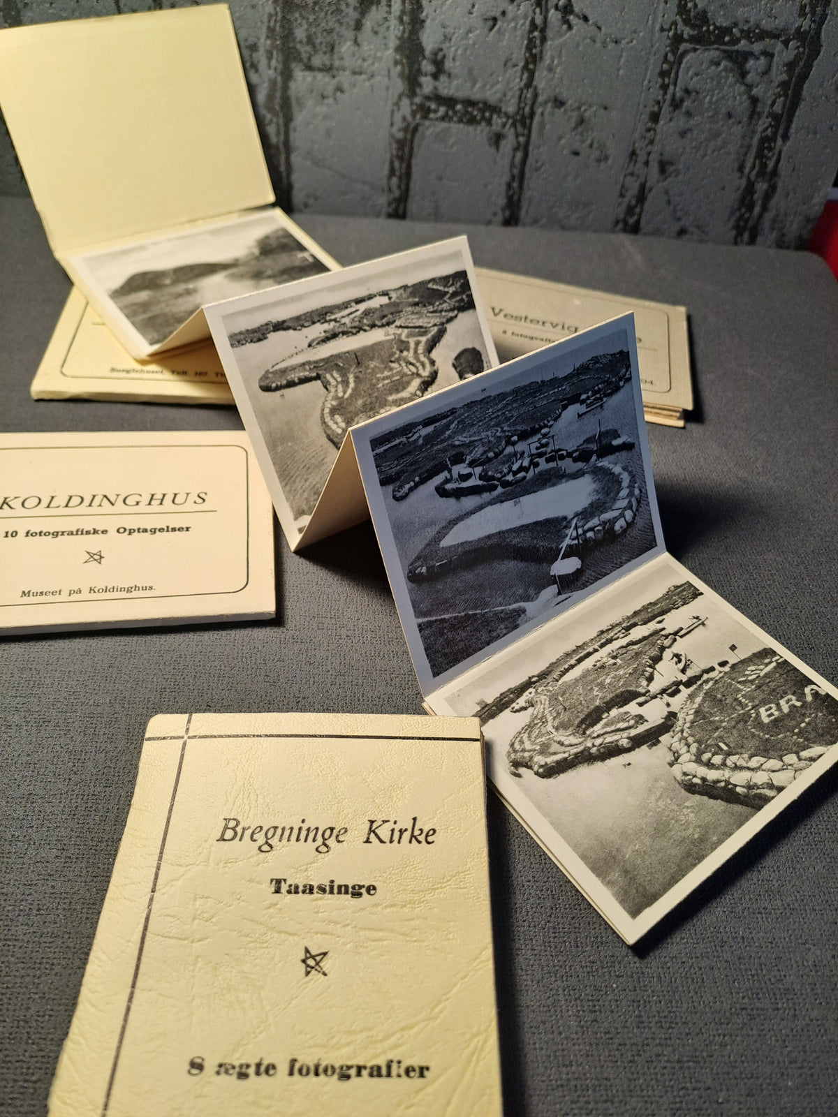 Vintage Fotohæfter fra Danske Lokaliteter