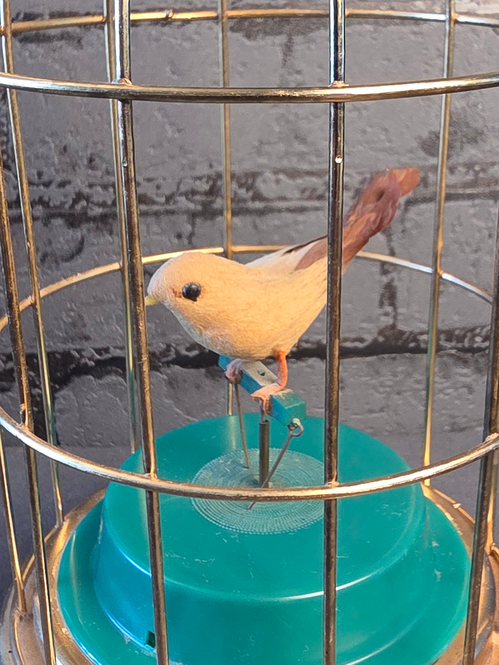 Mechanical Bird in a Cage