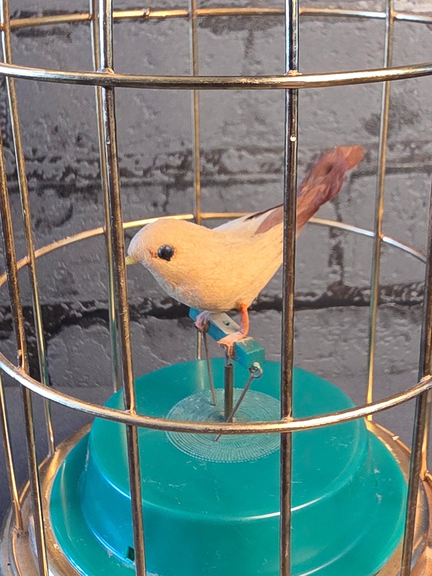 Mekanisk Fugl i Bur / Mechanical Bird in a Cage