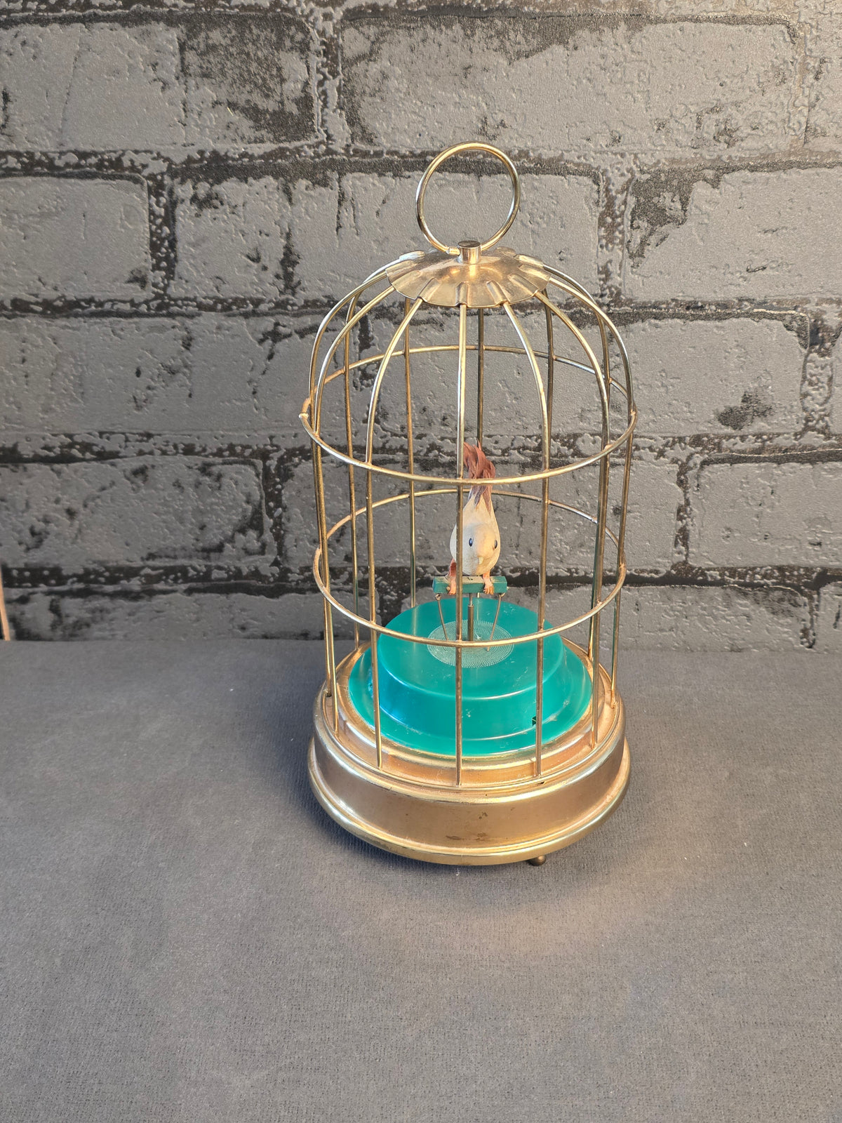 Mechanical Bird in a Cage