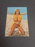 Vintage Postcard / Vintage Postkort