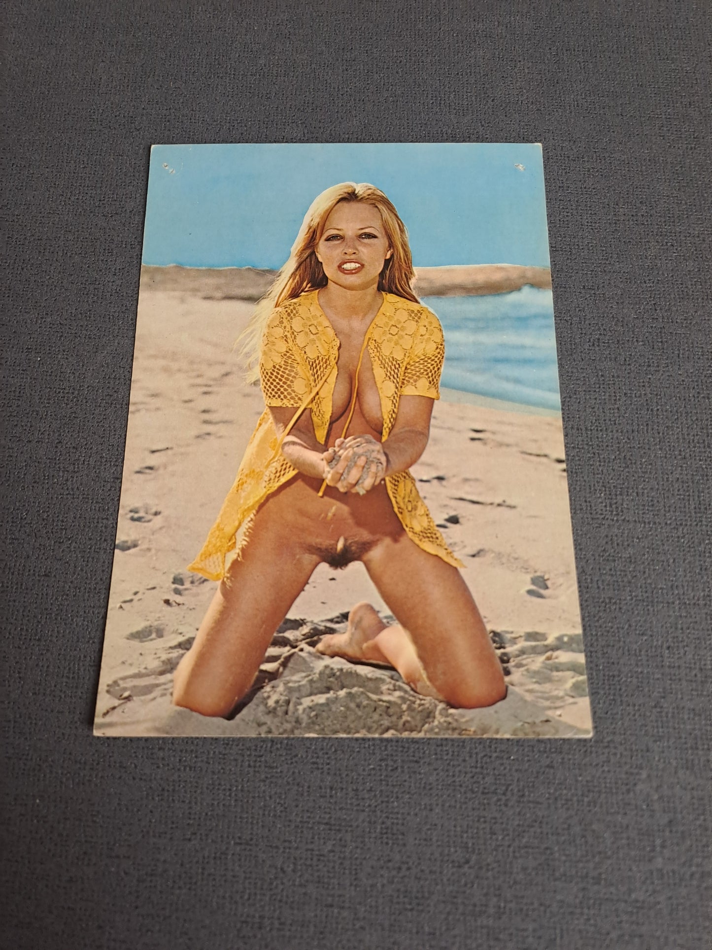 Vintage Postcard / Vintage Postkort