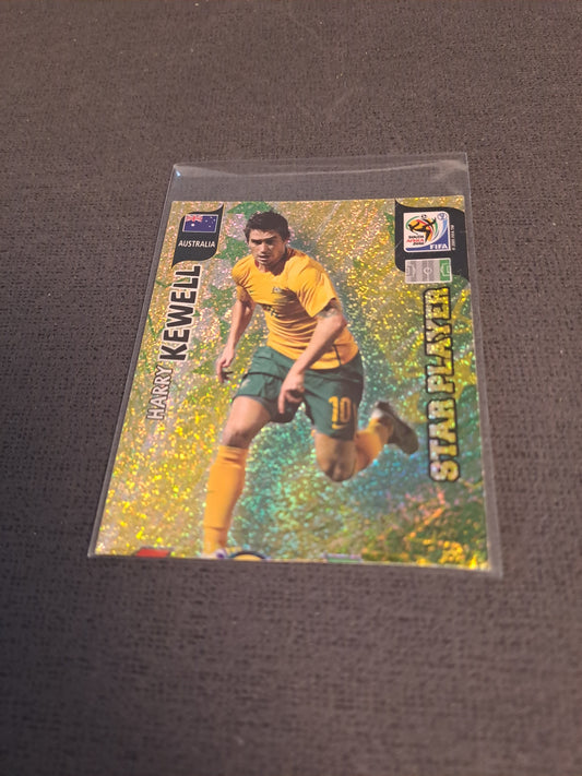 Panini 2010 Harry Kewell