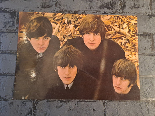 The Beatles Picture Inlay from LP