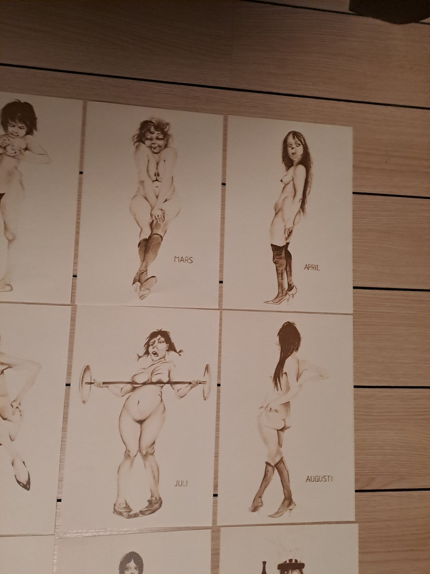 12 Month Caricatures / 12 Måneder Karikaturer