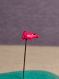 Piggy bank