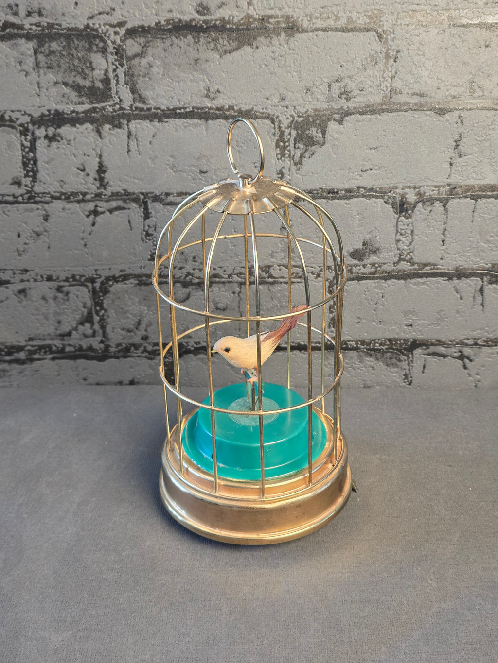 Mechanical Bird in a Cage