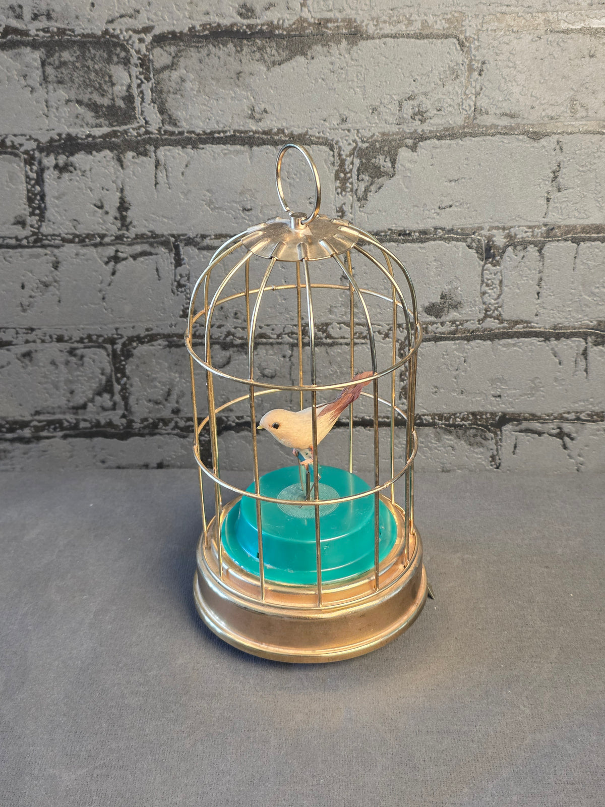 Mechanical Bird in a Cage