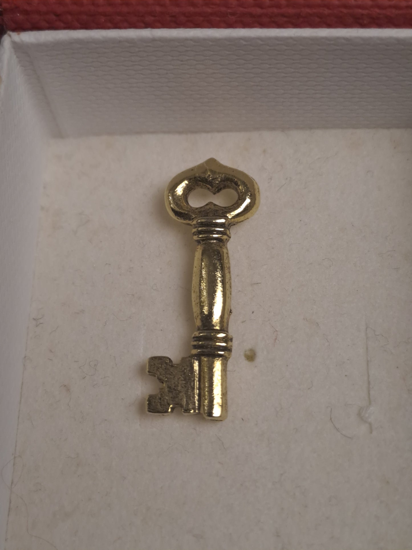 Broches 24K Gold Plated