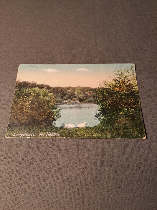 Svingelmosen ved Nakskov 1921