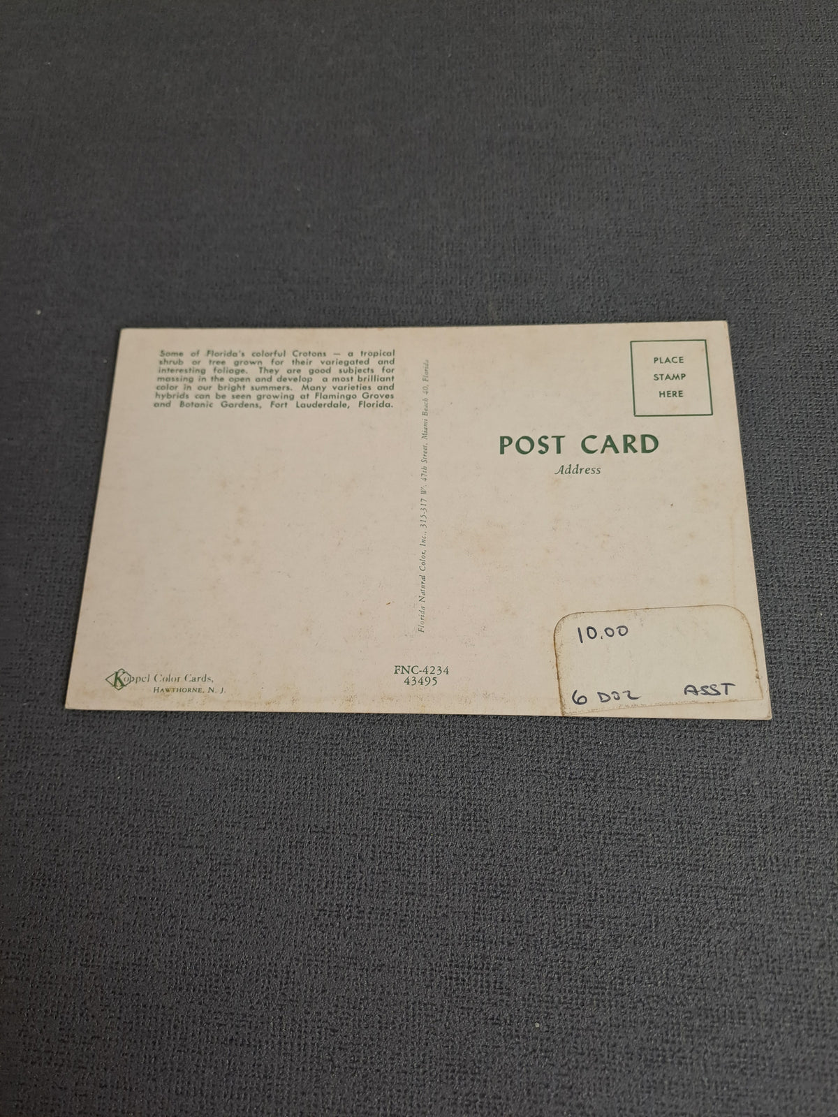 Vintage Postcard