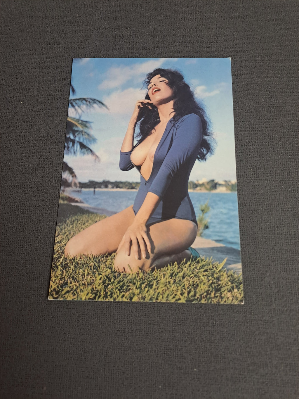 Vintage Postcard / Vintage Postkort