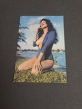 Vintage Postcard / Vintage Postkort