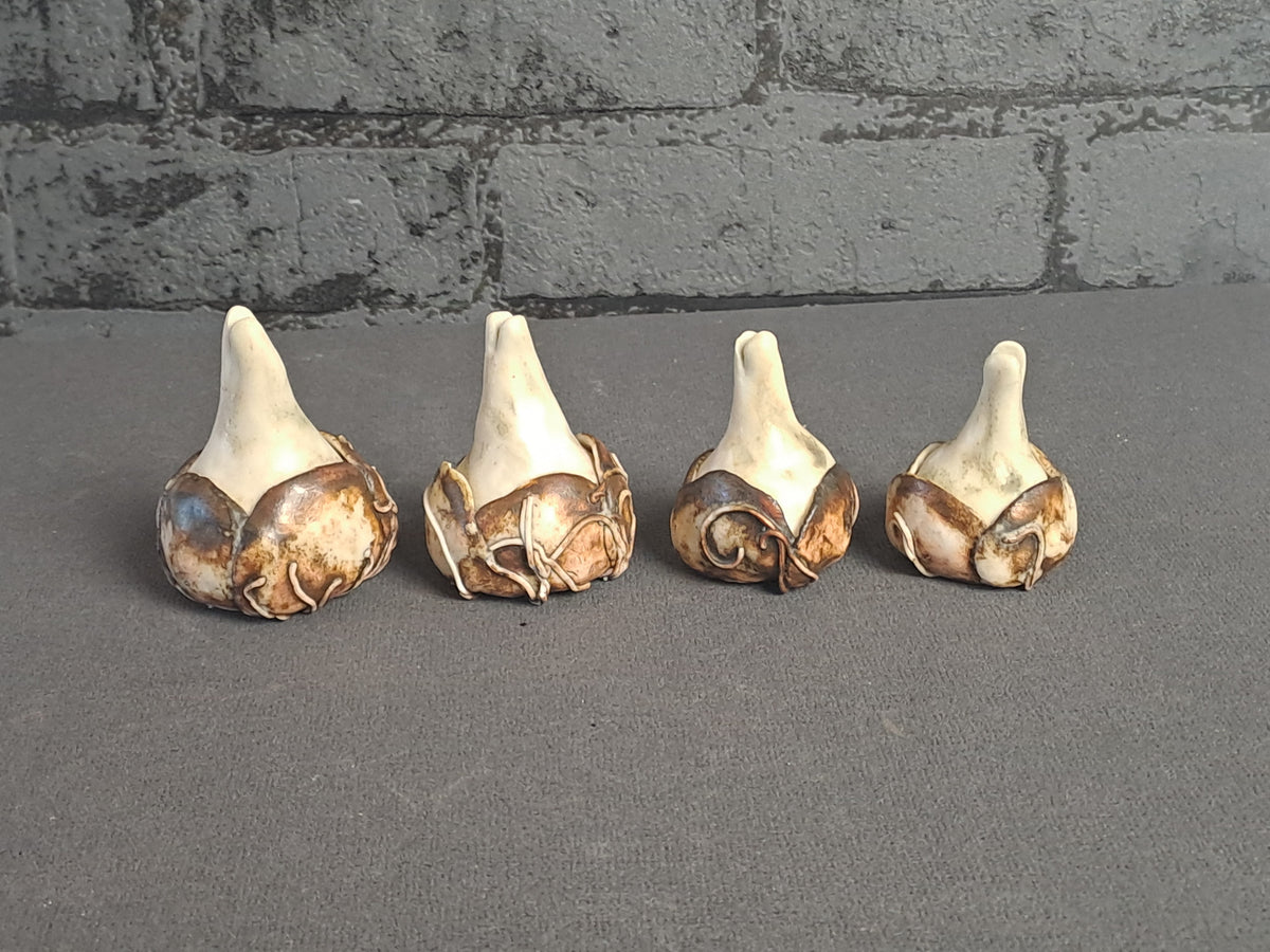 Ceramic Flower Bulbs