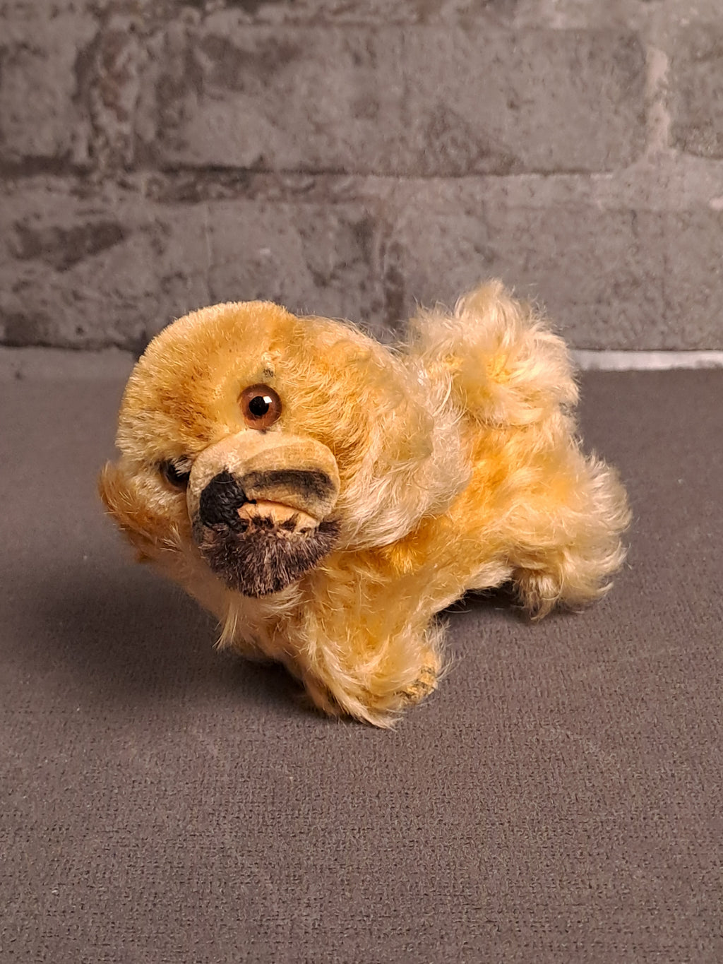 Steiff Pekingese Dog / Steiff Pekingeser