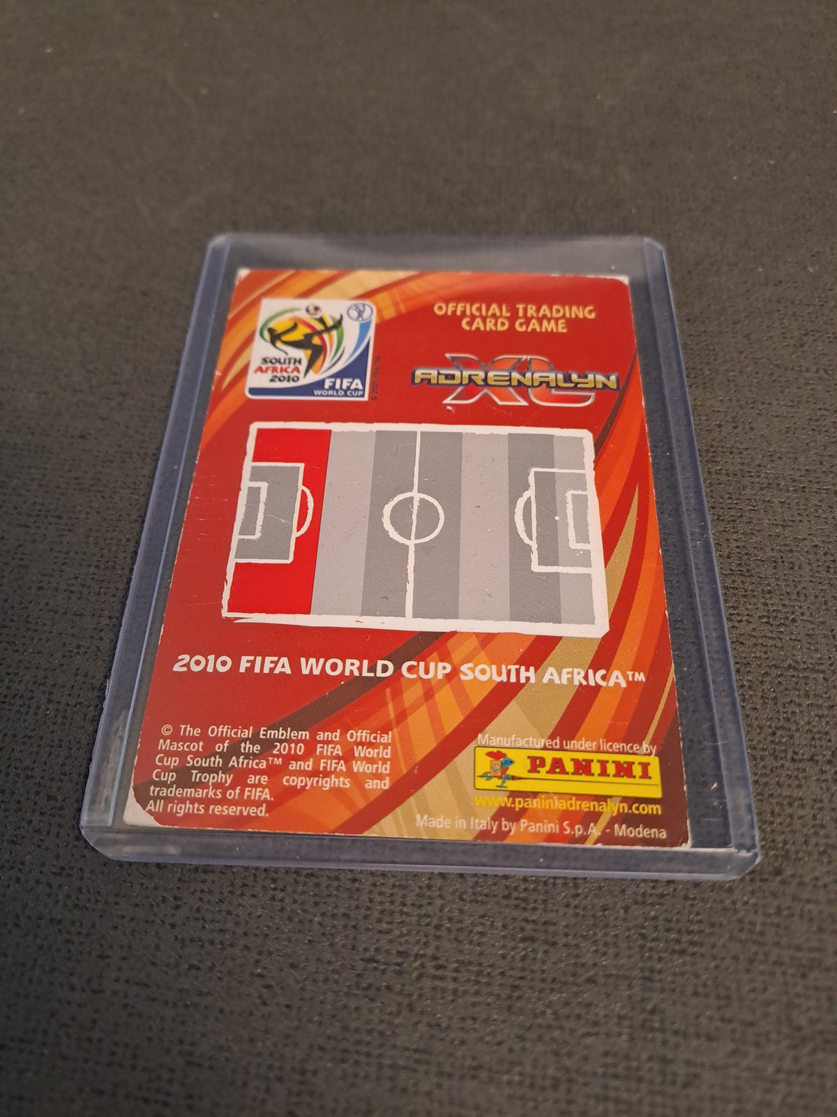 Panini 2010 Lucas Neill